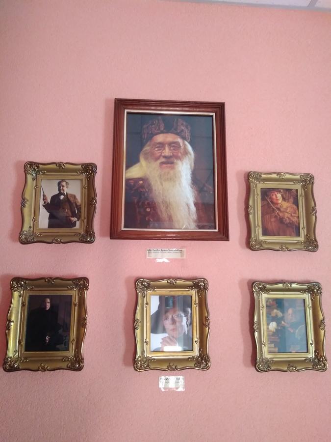 Auberge de jeunesse У Поттера à Ternopil Extérieur photo